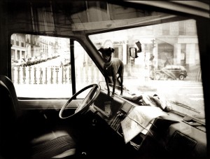 DOG IN MAIL Van, Paris-web